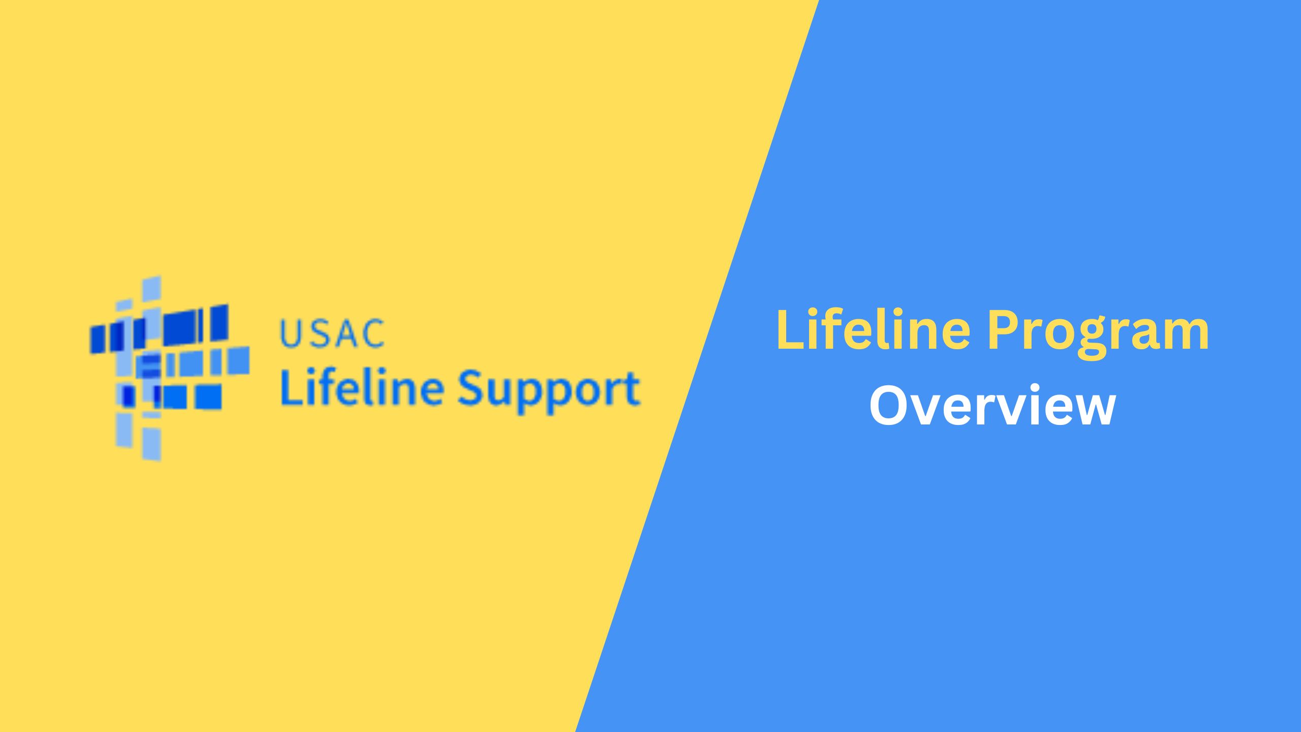 Lifeline Program Overview 2023 : Benefits, Eligibility, Application