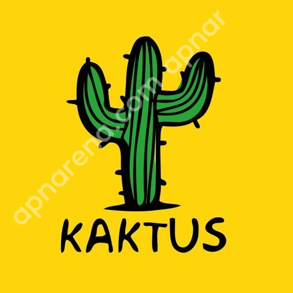 Kaktus APN Internet Settings Android iPhone