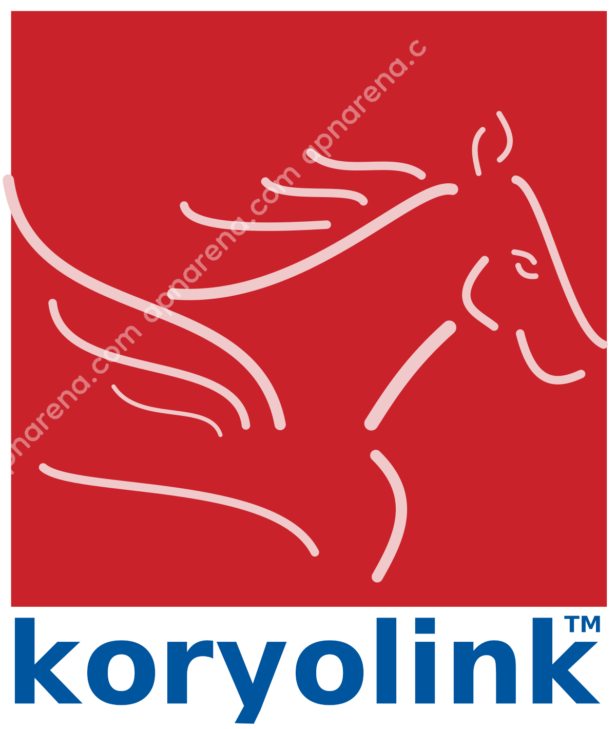 Koryolink APN Internet Settings Android iPhone