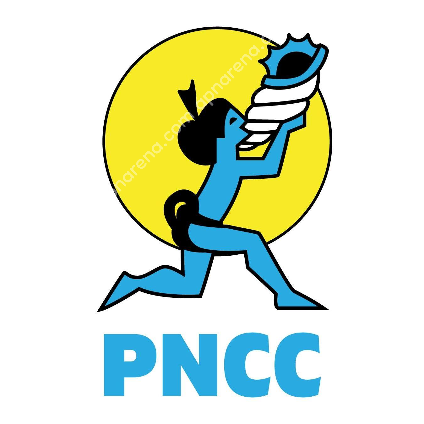 PNCC (PalauCel) APN Internet Settings Android iPhone