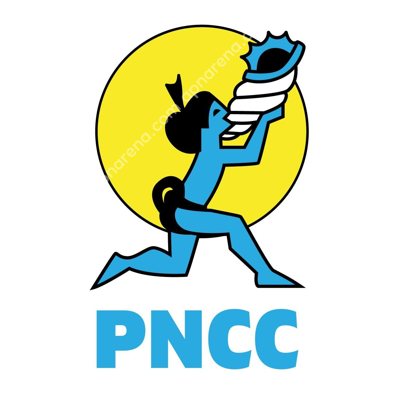 PNCC (PalauCel) APN Settings for Android and iPhone 2024